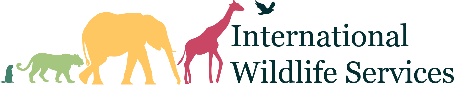 International Wildlife Studies